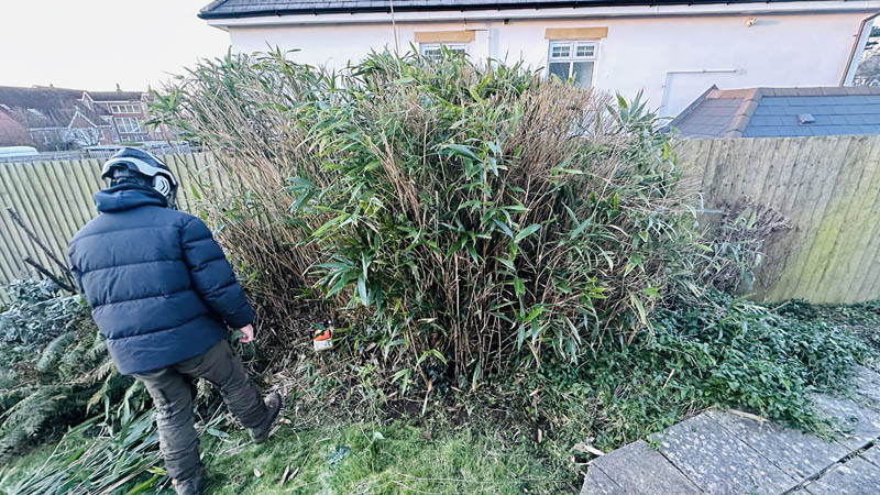 Bamboo Removal Exmouth