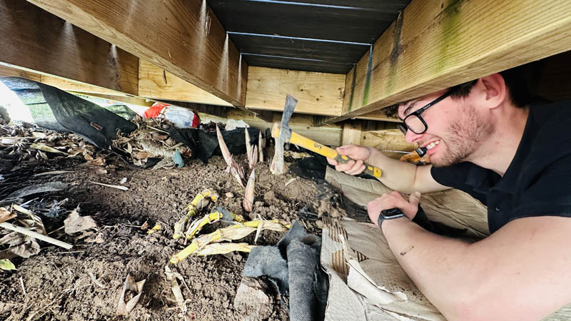 Bamboo Removal Ottery St Mary