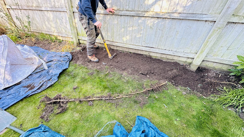 Bamboo Removal Ottery St Mary