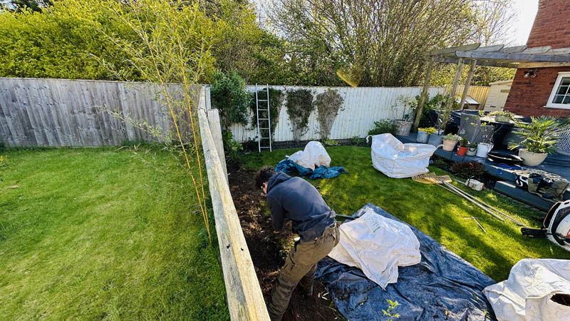 Bamboo Removal Ottery St Mary